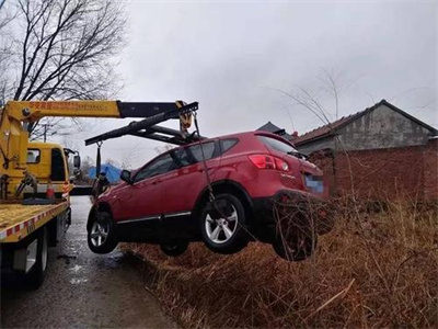 柳州楚雄道路救援